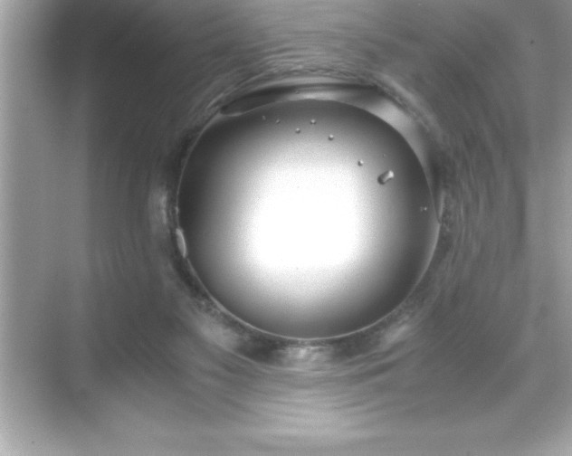 X0000071830117200607072220