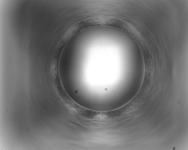 X0000071830119200607072220