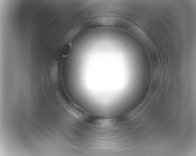 X0000071830120200607072220