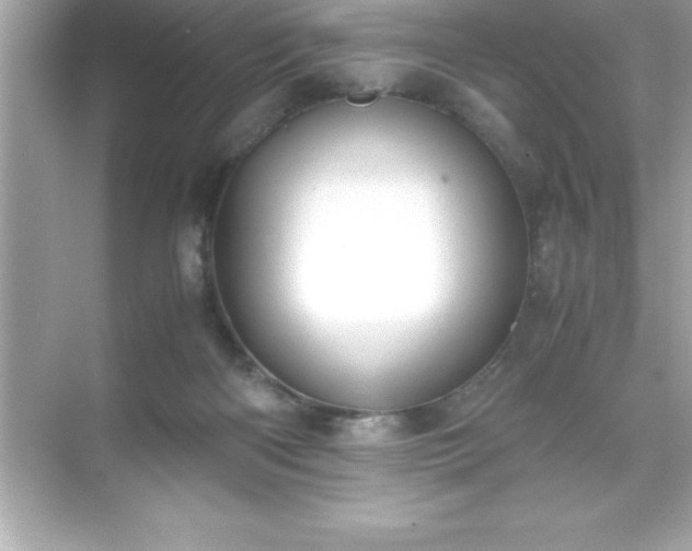 X0000071830122200607072220