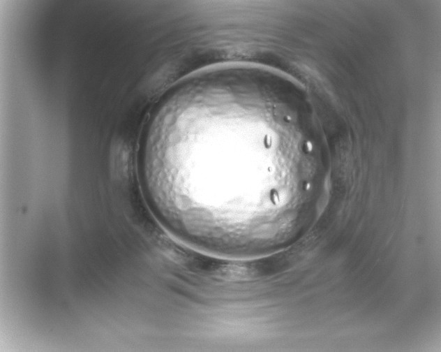 X0000071830123200607072220