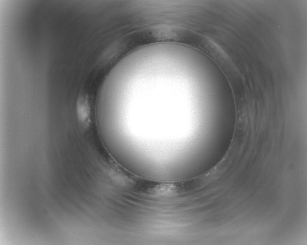 X0000071830124200607072220