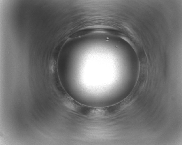 X0000071830125200607072220