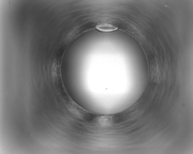 X0000071830126200607072220