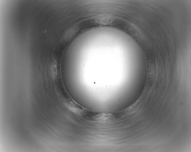 X0000071830128200607072219