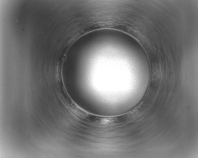 X0000071830130200607072219