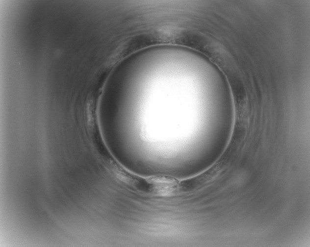 X0000071830131200607072219