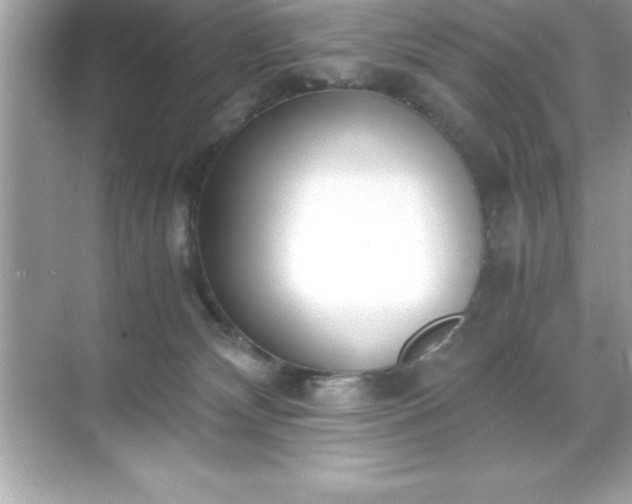 X0000071830132200607072219