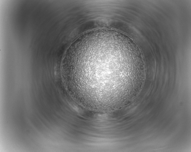 X0000071830134200607072219