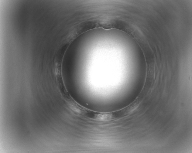 X0000071830135200607072219