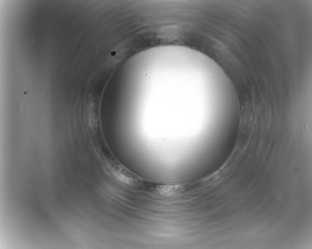 X0000071830136200607072219