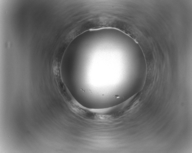 X0000071830137200607072219