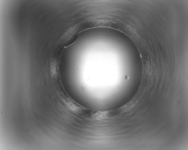 X0000071830138200607072219