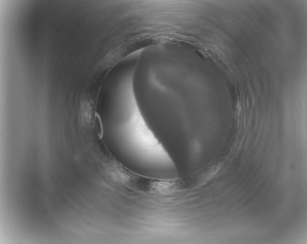 X0000071830139200607072219