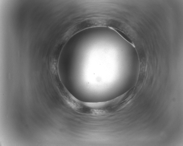 X0000071830141200607072219