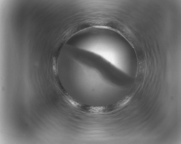 X0000071830143200607072219