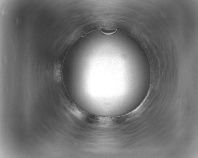 X0000071830144200607072219