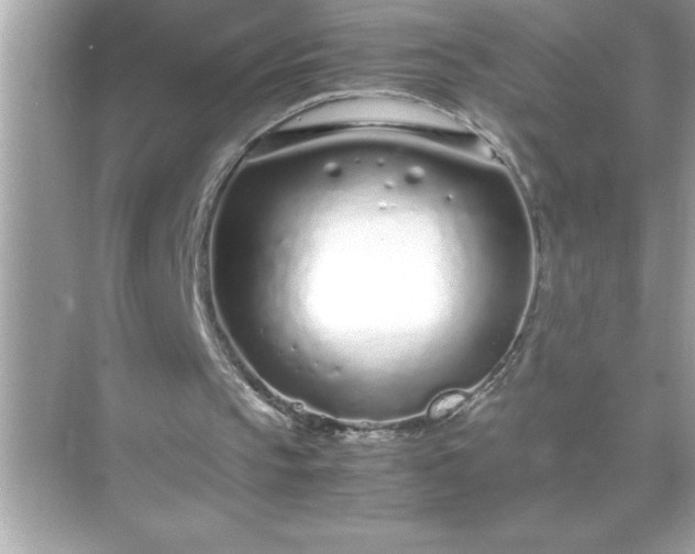 X0000071830145200607072218