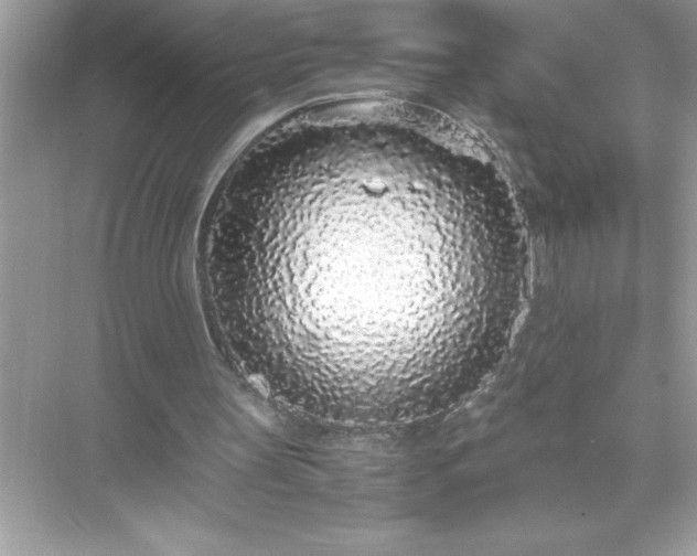 X0000071830147200607072218