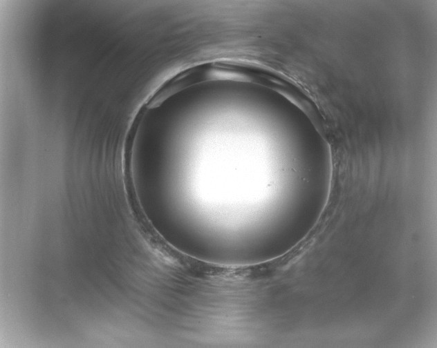 X0000071830148200607072218