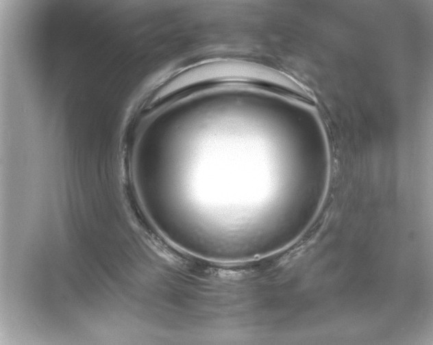 X0000071830149200607072218