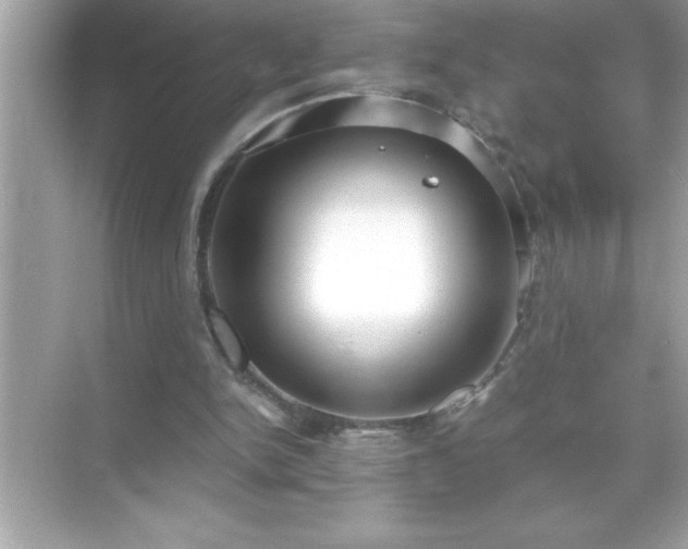 X0000071830150200607072219