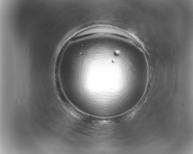 X0000071830151200607072219