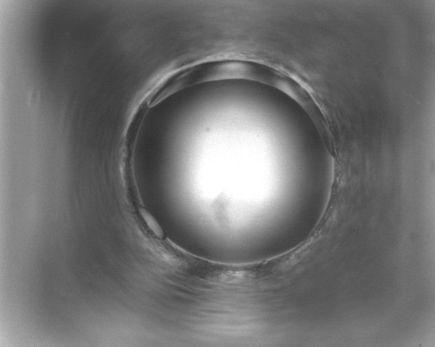 X0000071830152200607072219