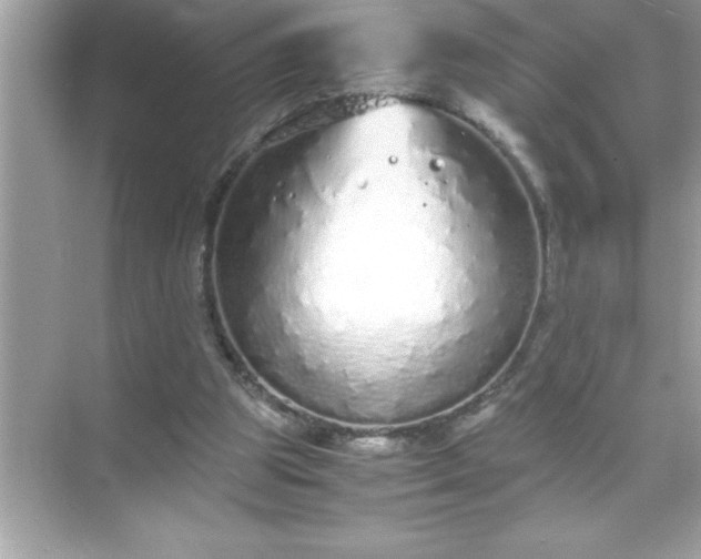 X0000071830153200607072219