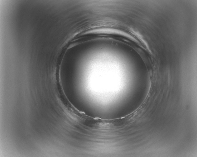 X0000071830154200607072219