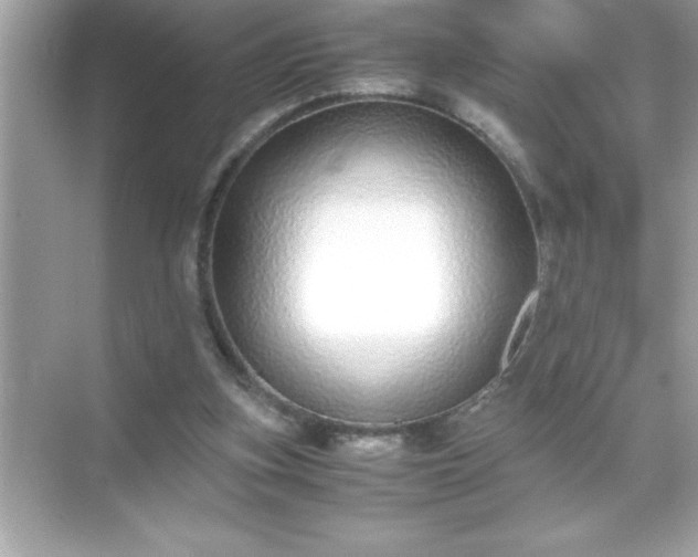 X0000071830155200607072219