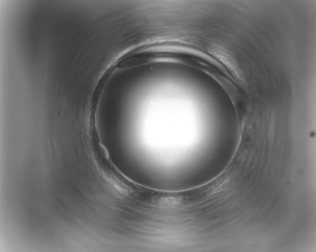 X0000071830156200607072219