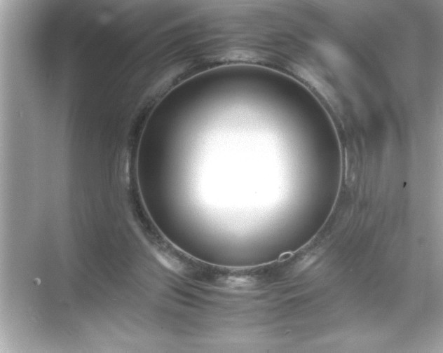 X0000071830157200607072219