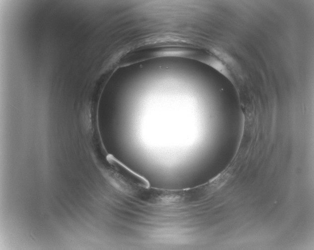 X0000071830158200607072219