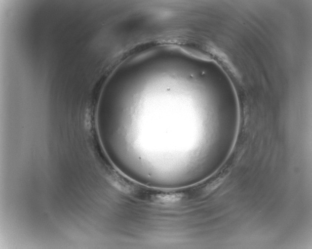 X0000071830161200607072219