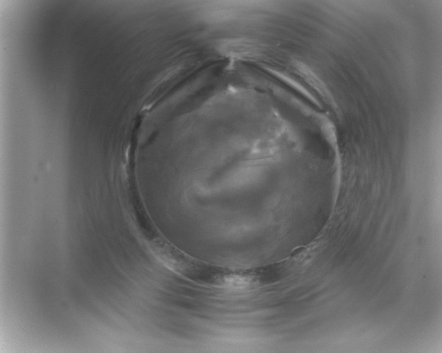 X0000071830163200607072219