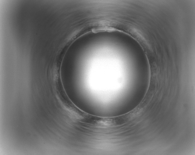 X0000071830164200607072219