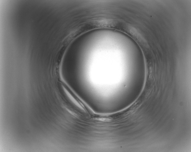 X0000071830165200607072219