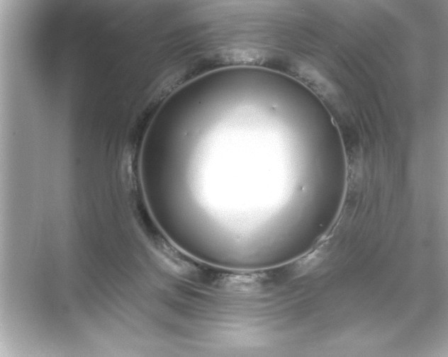 X0000071830166200607072219