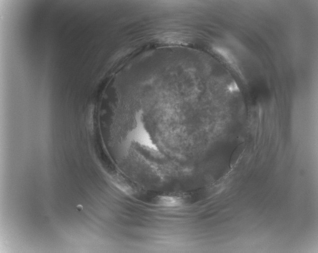 X0000071830167200607072219