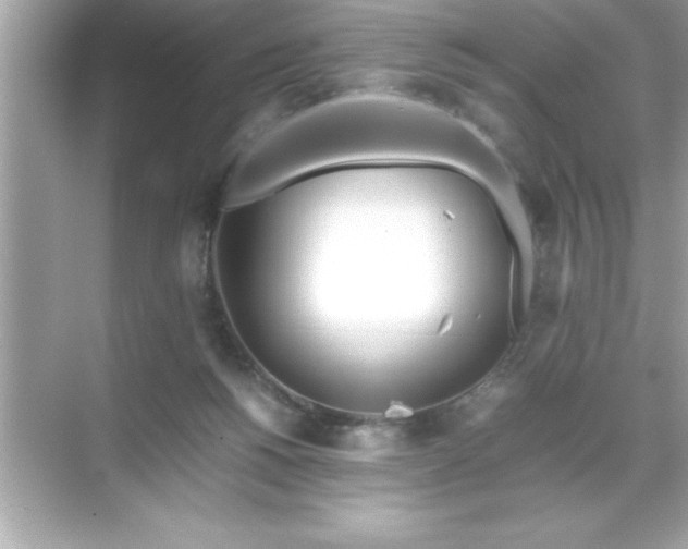 X0000071830168200607072219