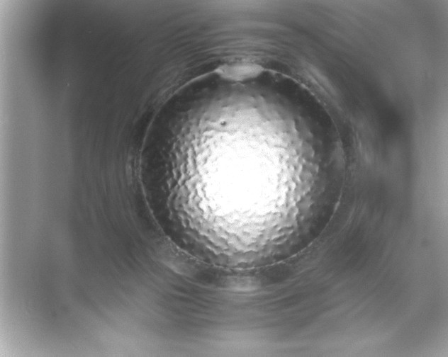 X0000071830169200607072219