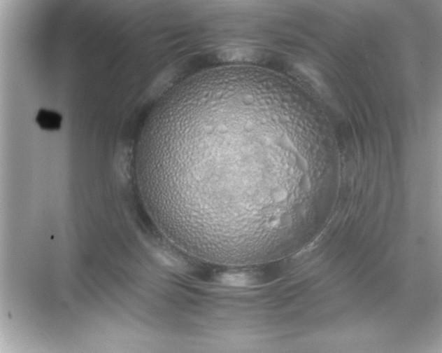 X0000071830171200607072219