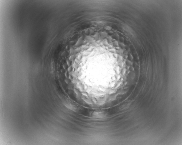 X0000071830173200607072219