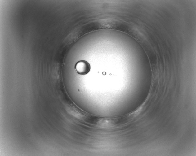 X0000071830174200607072219