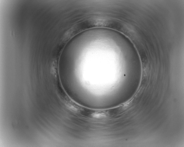 X0000071830175200607072219