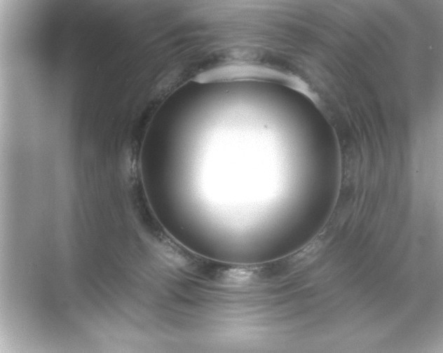 X0000071830176200607072219