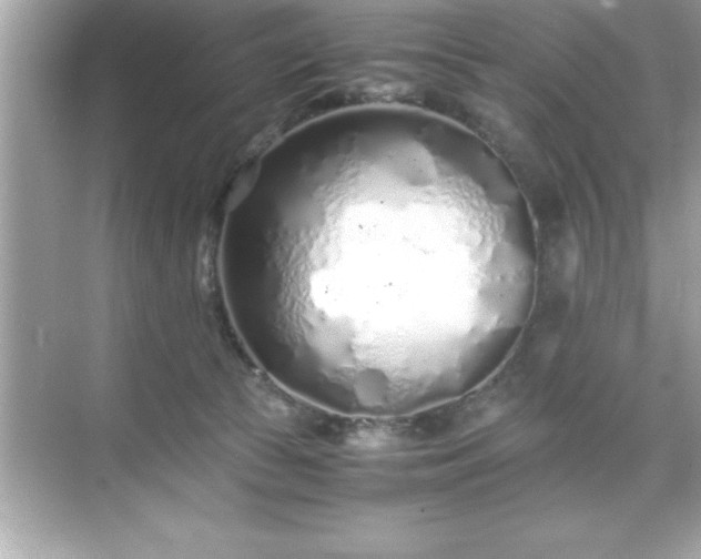 X0000071830177200607072219