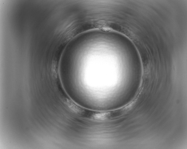 X0000071830178200607072219