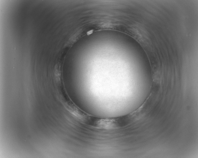 X0000071830179200607072219